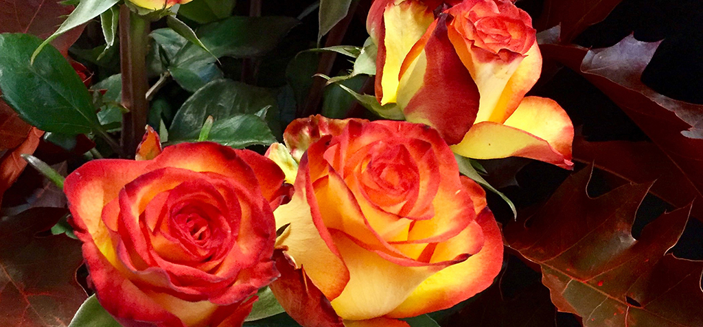 Mosaic Flowers