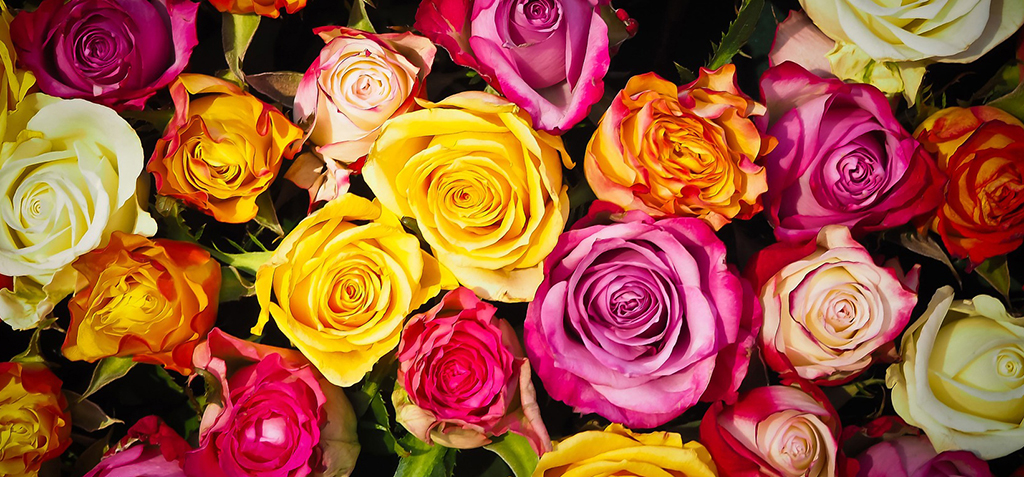 Mosaic Flowers
